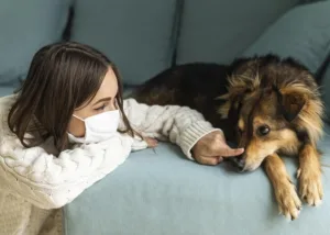 Keeping Your Pet Safe From Zoonotic Diseases