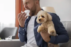 Dog Allergies