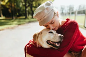 old dog care